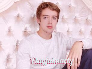 Playfulmarty