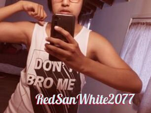 RedSanWhite2077