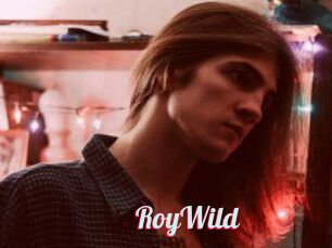 RoyWild