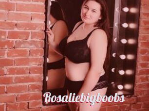 Rosaliebigboobs