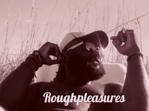 Roughpleasures