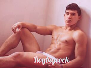 Roybigcock