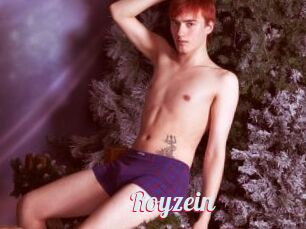 Royzein