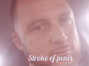 Stroke_of_penis