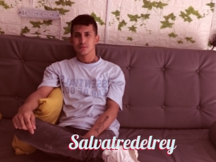 Salvatredelrey