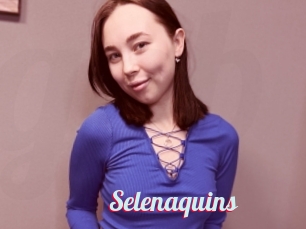 Selenaquins