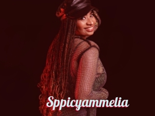 Sppicyammelia
