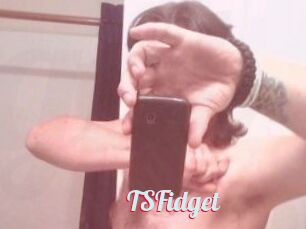 TSFidget