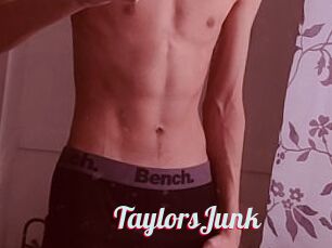 TaylorsJunk