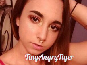 TinyAngryTiger
