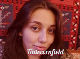 Taitecornfield