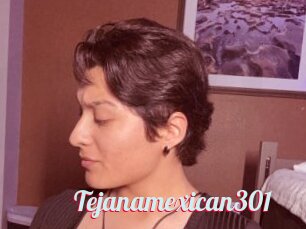 Tejanamexican301