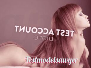 Testmodelsawyer
