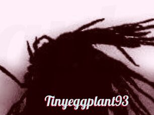 Tinyeggplant93