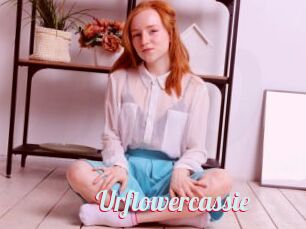 Urflowercassie