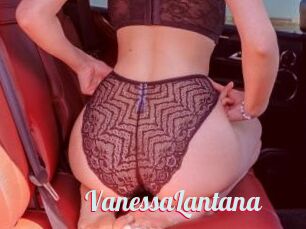 VanessaLantana