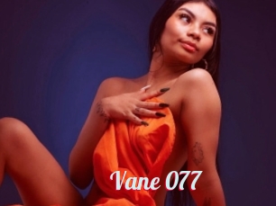 Vane_077