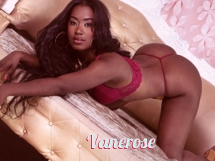 Vanerose