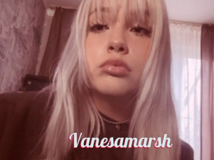 Vanesamarsh