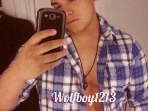 Wolfboy1213