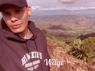 Wagi