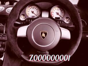 Z000000001
